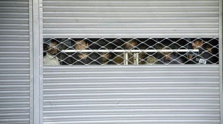 No shopping until traders bridge ‘Gulf’, warn police