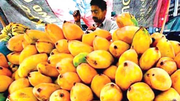 Pakistani mangoes fetch better prices