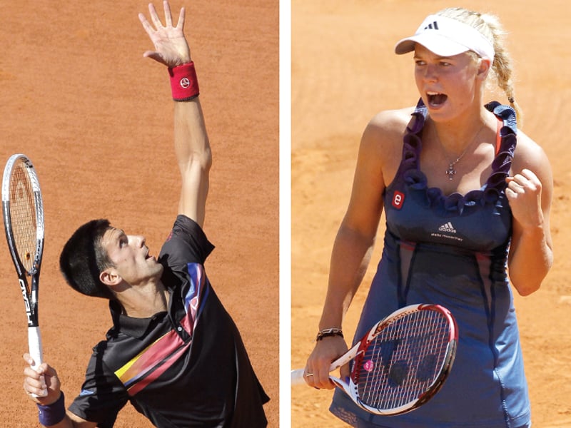 Dementieva reaches French Open semis