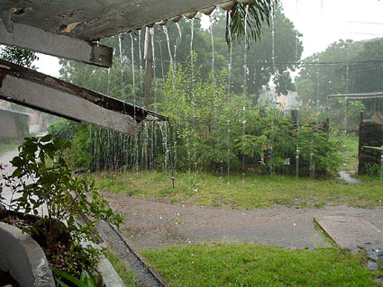 The rains that were