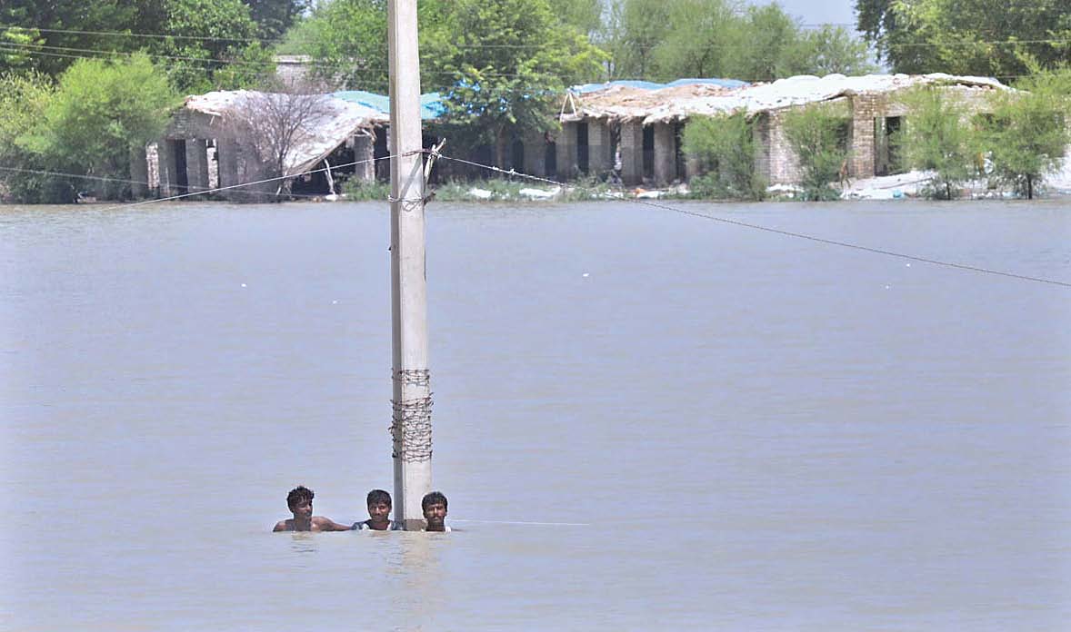 Notes from the flood zone