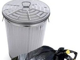The dustbin that never was