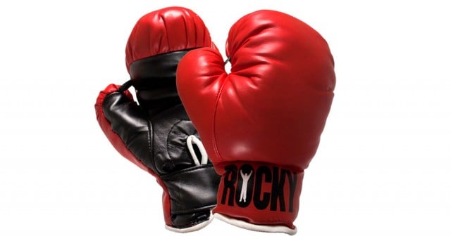 Boxing officials hopeful after election success