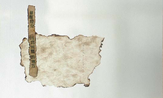 Painting  a borderless home