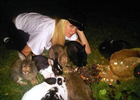 Paris Hilton saves 20 rabbits from jaws of death