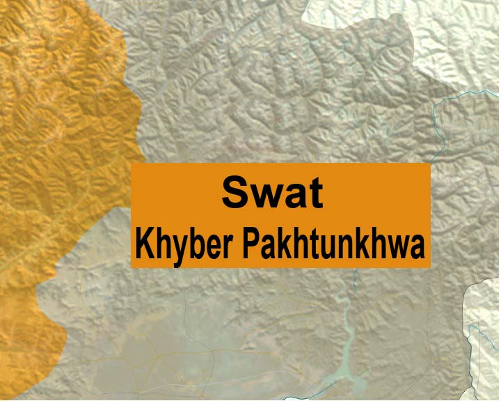 Two Taliban leaders killed in Swat