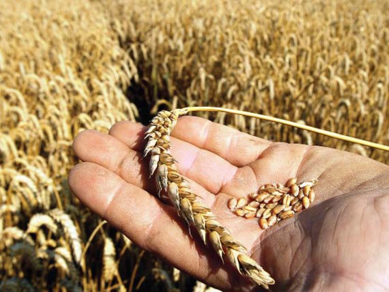 Government warns of action against overcharging flour mills