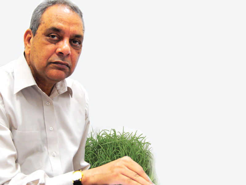 Saltwater Solutions: Scientist seeks answer to food crisis
