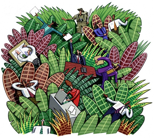 Welcome to the corporate jungle