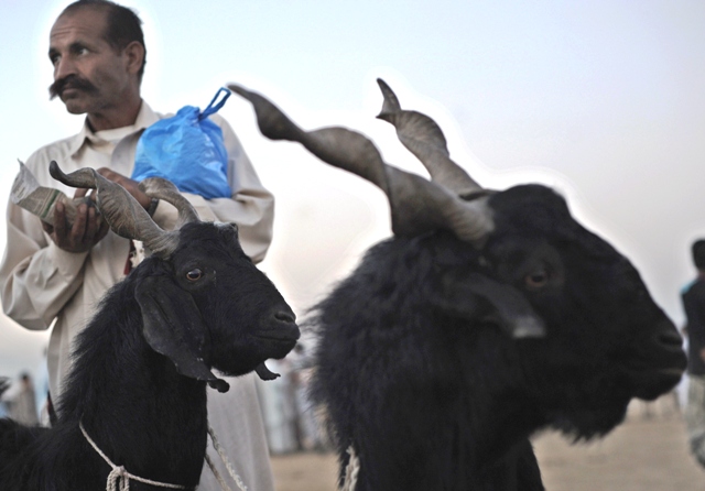 Eid and happiness