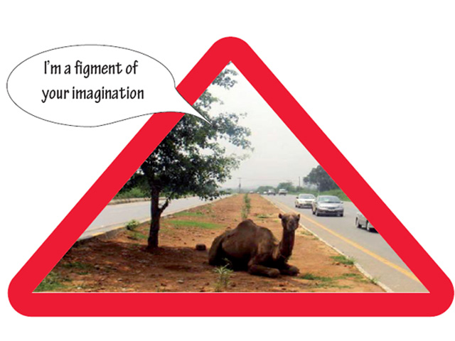 Highway to Murree or unsuspecting road to death?