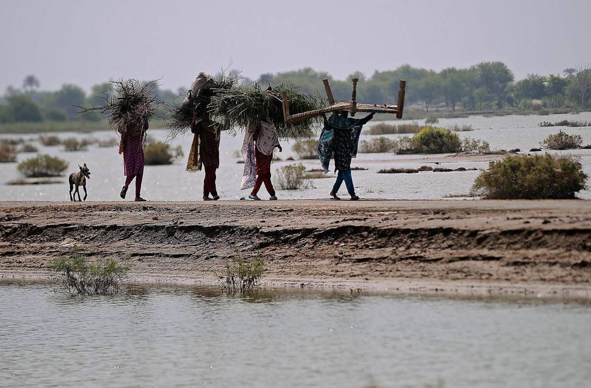 Media watch: Post flood economy