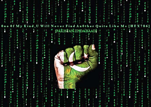 Cyber war: Indian hackers take down OGRA site