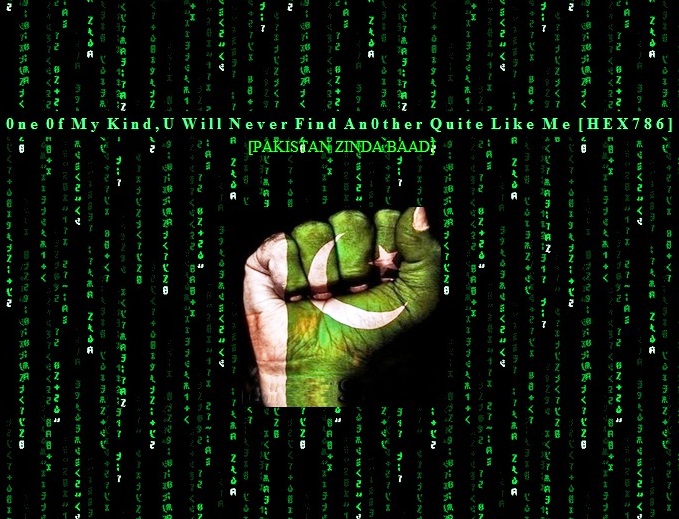Cyber war escalates: Pakistani hackers ‘take revenge’