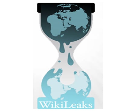 WikiLeaks: Whither Muslim brotherood?