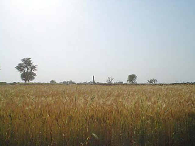 Wheat cultivation: Urea prices shoot to Rs1,200 per bag