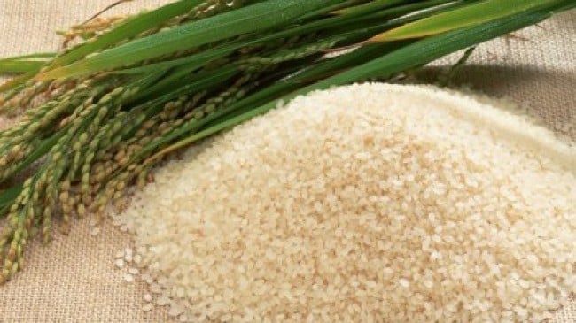 Industry seeks favourable policies for rice export