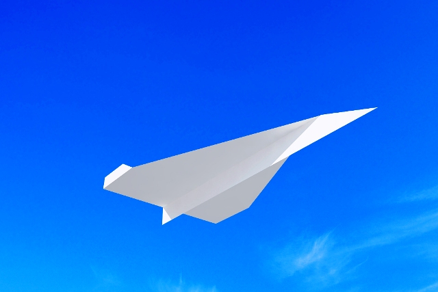 Paleejo’s ‘prehistoric’ aeroplane