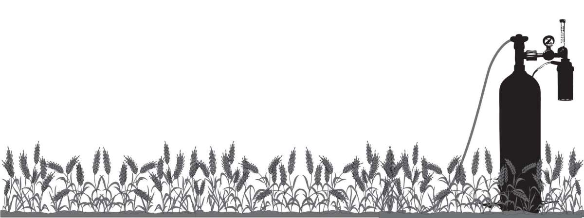 Biological warfare: Combating the new wheat rust disease