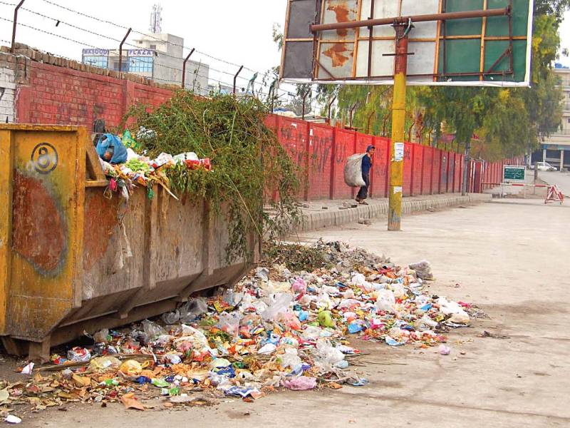 Environment: Young citizens get involved in keeping the capital clean