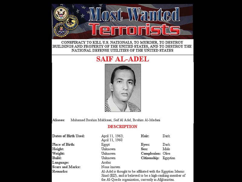 Egyptian named new al Qaeda leader: Reports