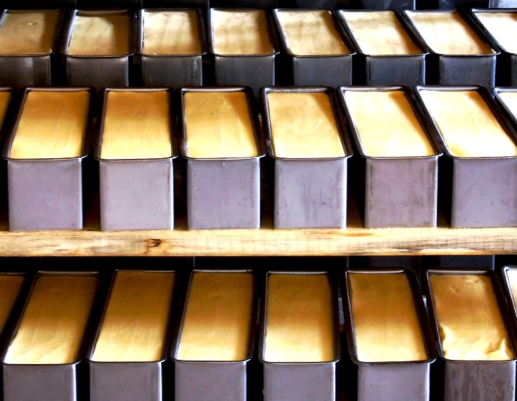 New Yorkers sample cheese made from human breast milk