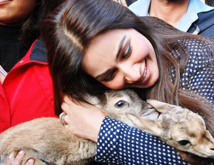 Reema vs Lahore Zoo: Deer trouble for actor