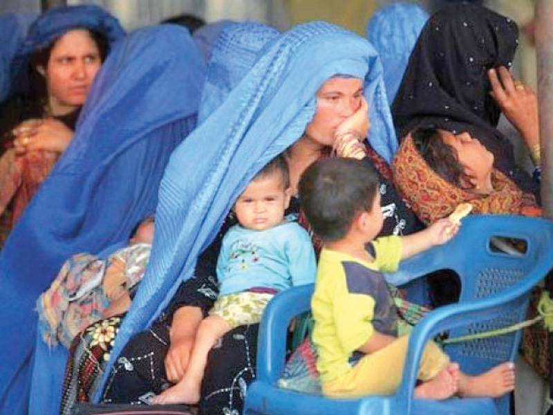 UNHCR urges government to help Afghan refugees