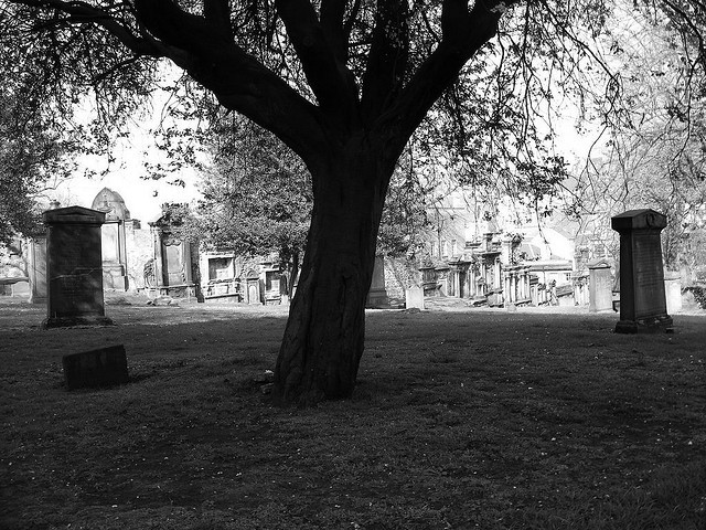 The Capital Vulture: Tales from Islamabad’s haunted underworld