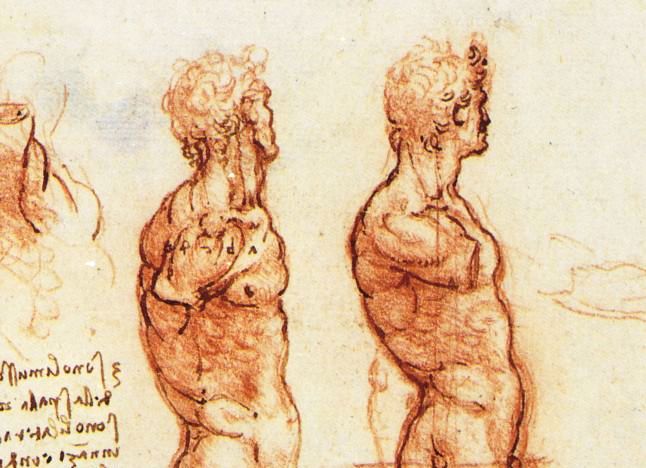 Transgender: Of sense and sexuality