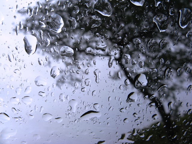 Monsoons: 18 injured in rain accidents