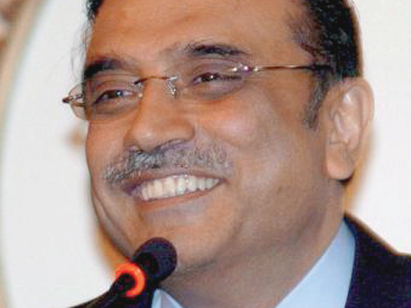 Local govt furor: Party members push Zardari against Malik