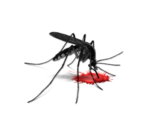 Five more suspected dengue cases surface in Pindi