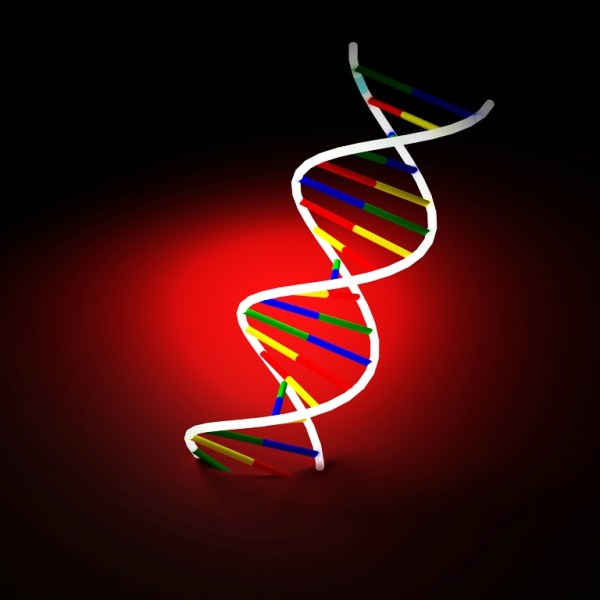 Happiness? It’s all in your genes!
