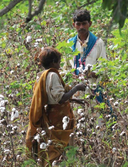 Agriculture losses: Flooded breadbasket spells economic misery