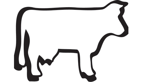 ‘Stronger response needed for saving cattle’