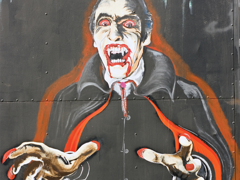 Dracula in Pakistan: ‘Whattay scary’