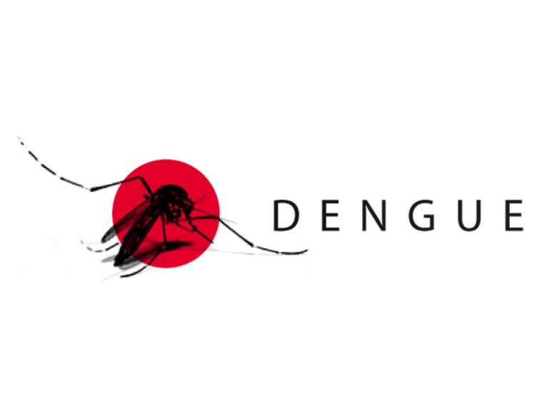 At the tail-end: Karachi dengue toll hits double digits