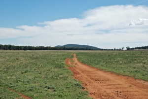 Land awarded: LDA allots land for two new hospitals