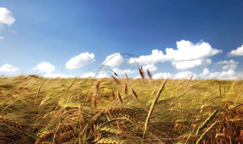 GBLA session: Wheat, power crises draw lawmakers’ ire