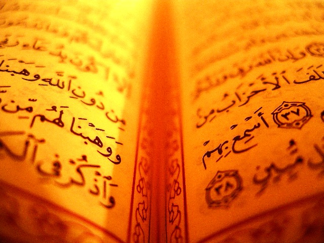 Blasphemy: Burning Quran is a form of international terrorism, says petitioner