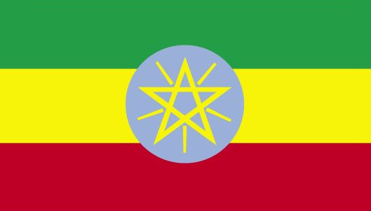 Ethiopian delegation calls on FM