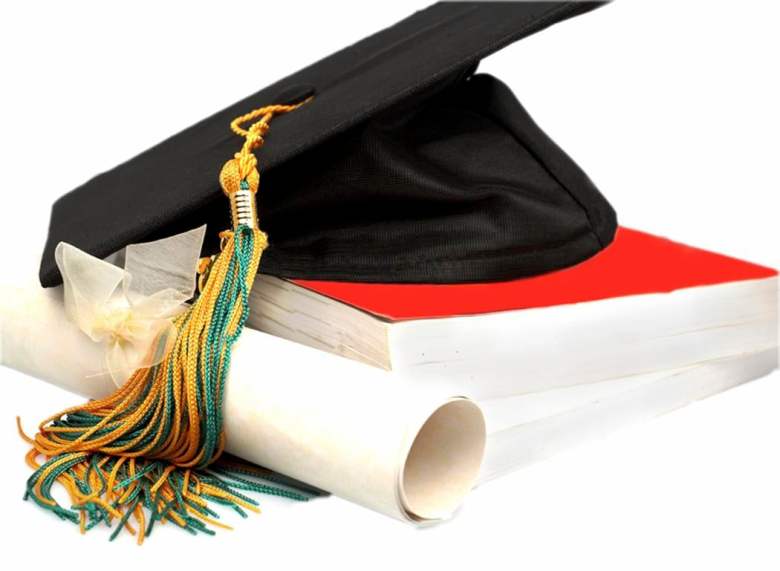 Grassroot entrepreneurship, vanguard of growth