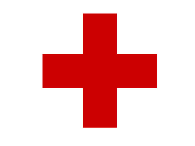 Executed aid worker: Red Cross was in ‘contact’ with kidnappers
