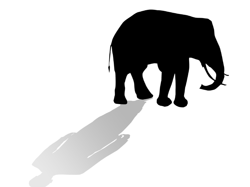 Zoo caretakers consume alcohol bought to ‘calm down’ elephants