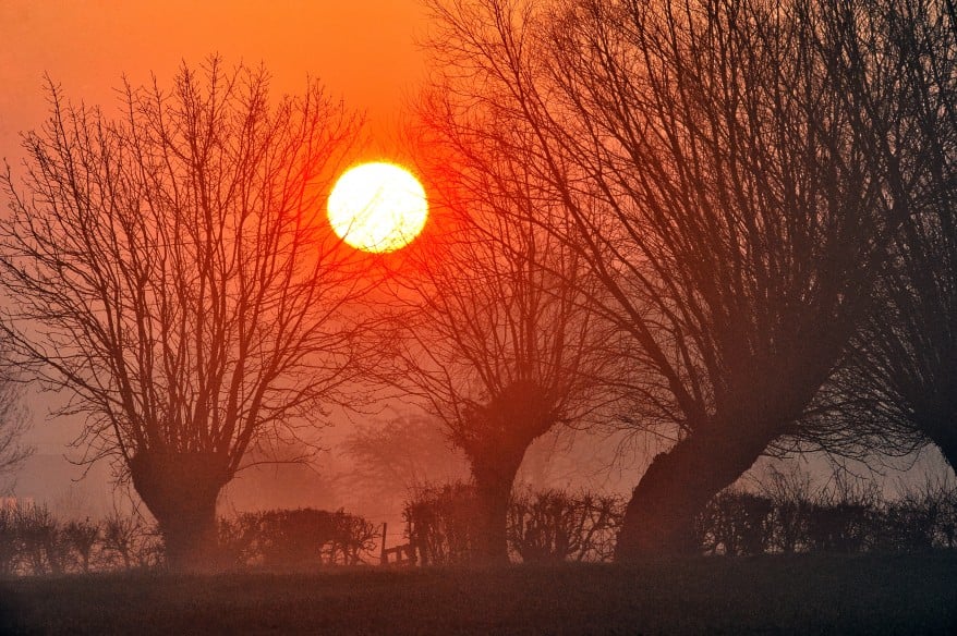 The morning I stood still