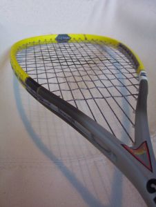 World Open squash: Nicol hurtles into quarters