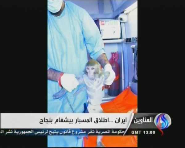 An image grab taken from Iran's al Alam TV on January 28, 2013, shows an Iranian scientist at an unknown location holding a live monkey which the Tehran-based Arab-language channel said they sent up into space in a capsule and later retrieved intact. PHOTO: AFP / al Alam TV