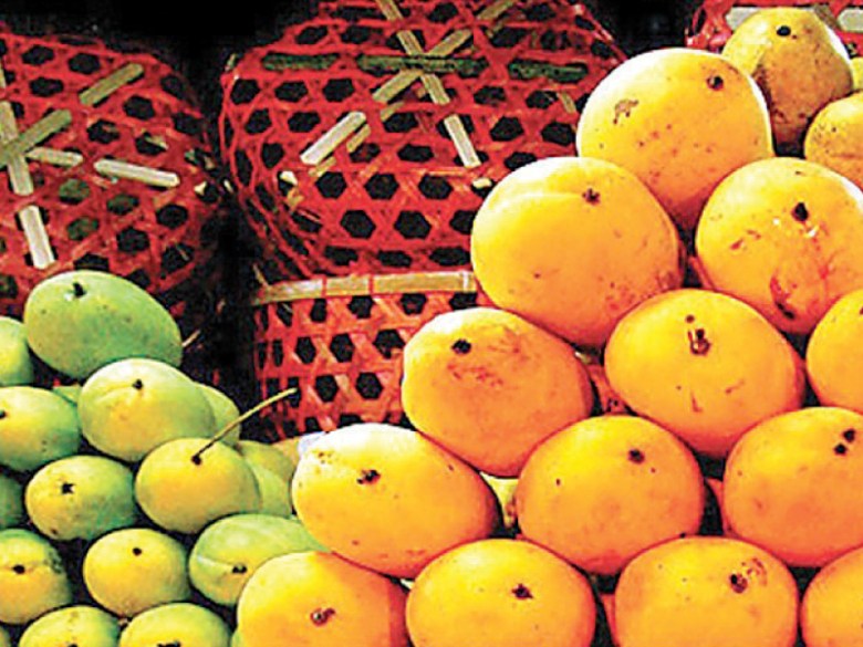 PFVA is targeting to export 175,000 tons of mangoes this year. The fruit will also be sent to new markets like Japan, South Korea and Mauritius. PHOTO: FILE