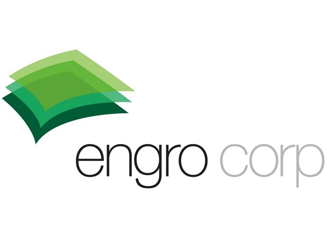 “Pakistan’s energy problems are difficult, but not impossible to overcome if the new government starts taking short- and long-term measures,” Engro Powergen Qadirpur Limited Chief Executive Syed Muhammad Ali said.  PHOTO: FILE